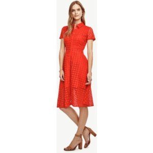 Ann Taylor Orange Eyelet Flare shirt dress